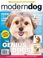 Modern Dog